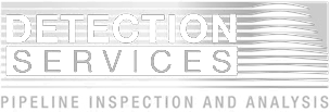 detection-services-logo-white